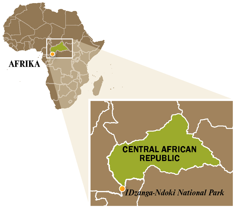 Imaphu yeCentral African Republic