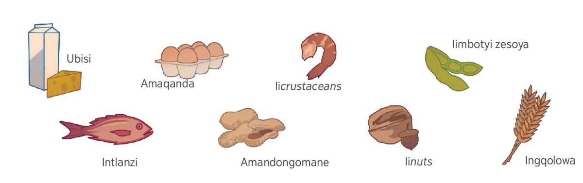 Ubisi, amaqanda, iicrustaceans, iisoybeans, intlanzi, amandongomane, nengqolowa