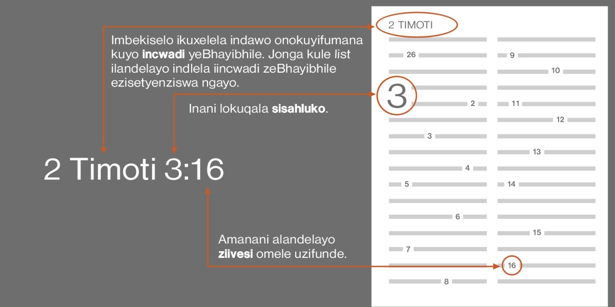 Indlela yokufumana iivesi zeBhayibhile usebenzisa u-2 Timoti 3:16 njengomzekelo. Le mbekiselo ikuxelela incwadi yeBhayibhile omawuyikhangele, ngokomzekelo u-2 Timoti (jonga ezi ncwadi zeBhayibhile zilapha ngezantsi ukuze ubone indlela ezilandelelana ngayo). Inani lokuqala likuxelela isahluko omawusikhangele, umzekelo isahluko 3. Inani okanye amanani alandelayo akuxelela ukuba ufune eyiphi ivesi okanye iivesi, umzekelo ivesi 16.