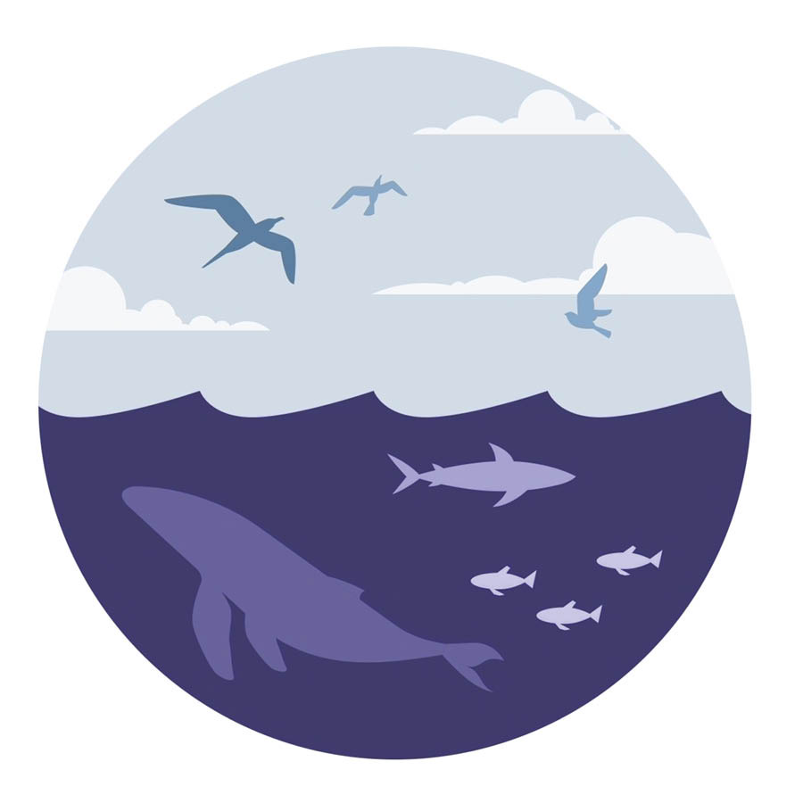  Izinto eziphila emanzini nezidalwa ezibhabhayo.