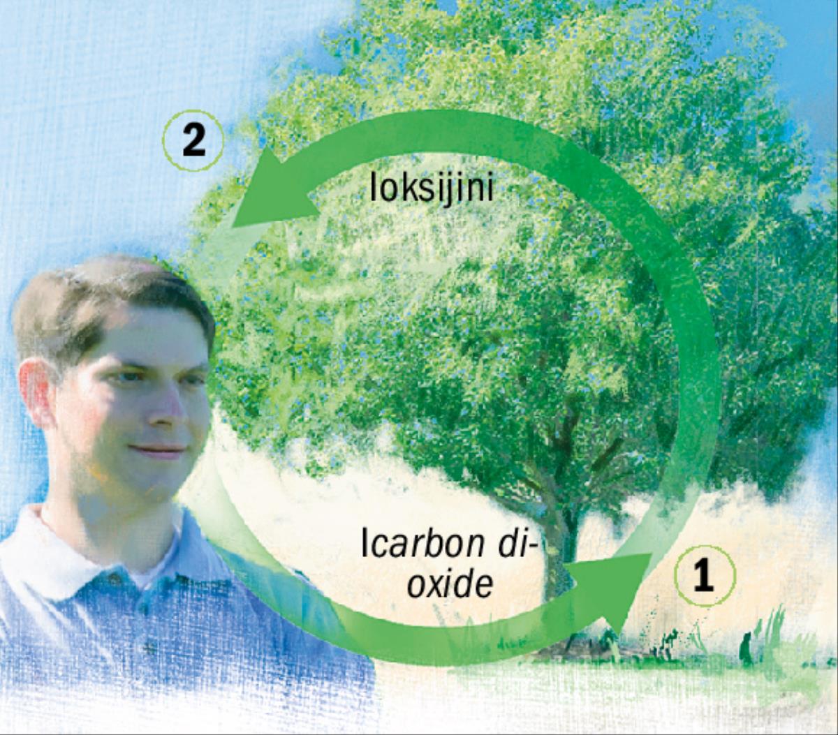 Iimijikelo yecarbon dioxide neoksijini