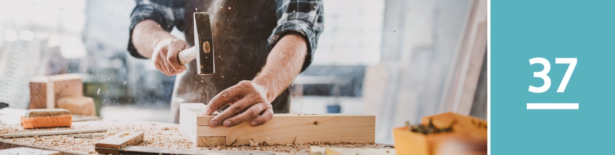 Isifundo 37. Umntu osebenza ngamaplanga ubethelela isikhonkwane.