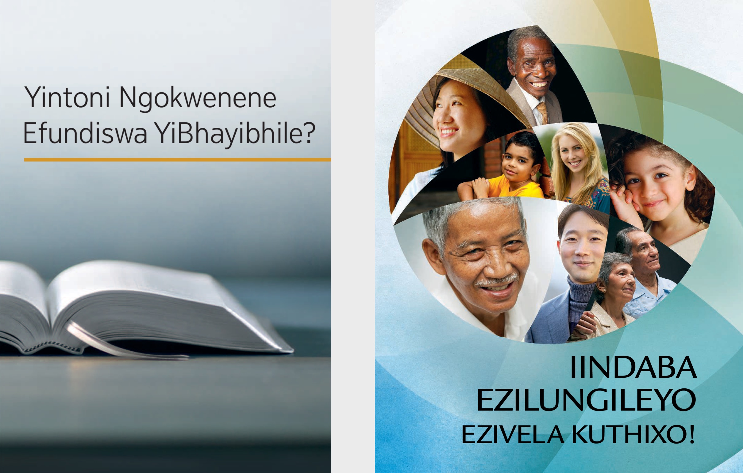 The book ‘What Can the Bible Teach Us?’ and the brochure ‘Good News From God!’