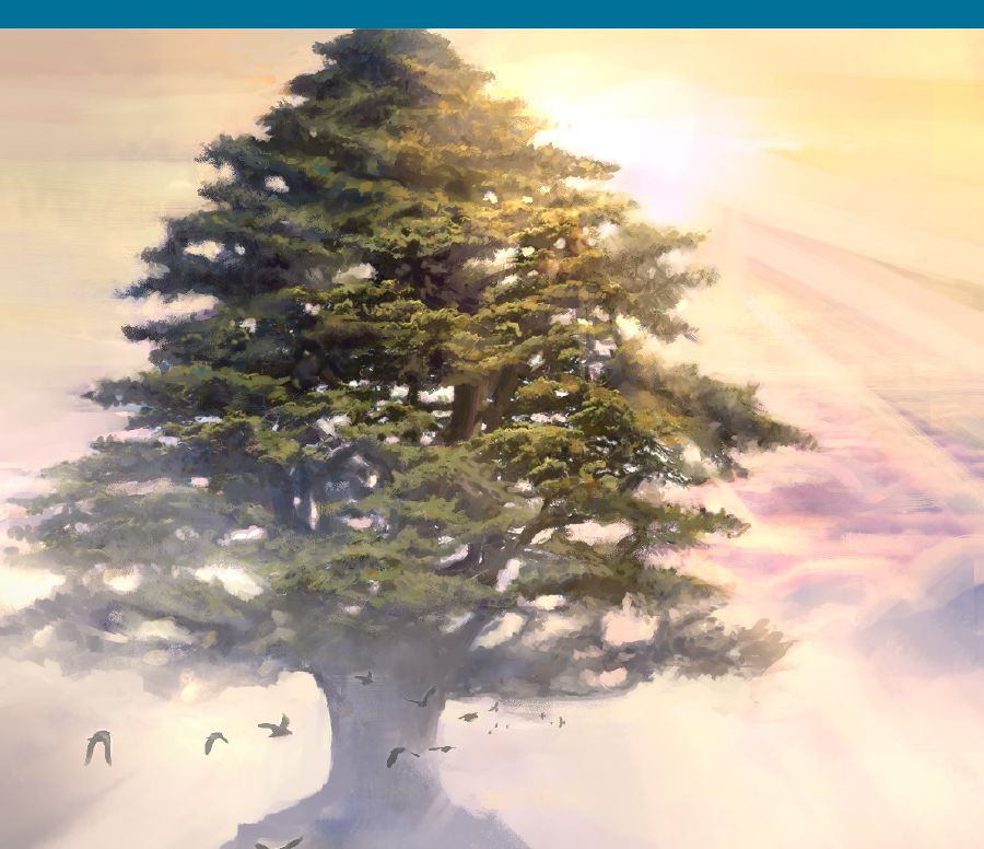 Umthi omkhulu womsedare okwisiprofeto sikaHezekile