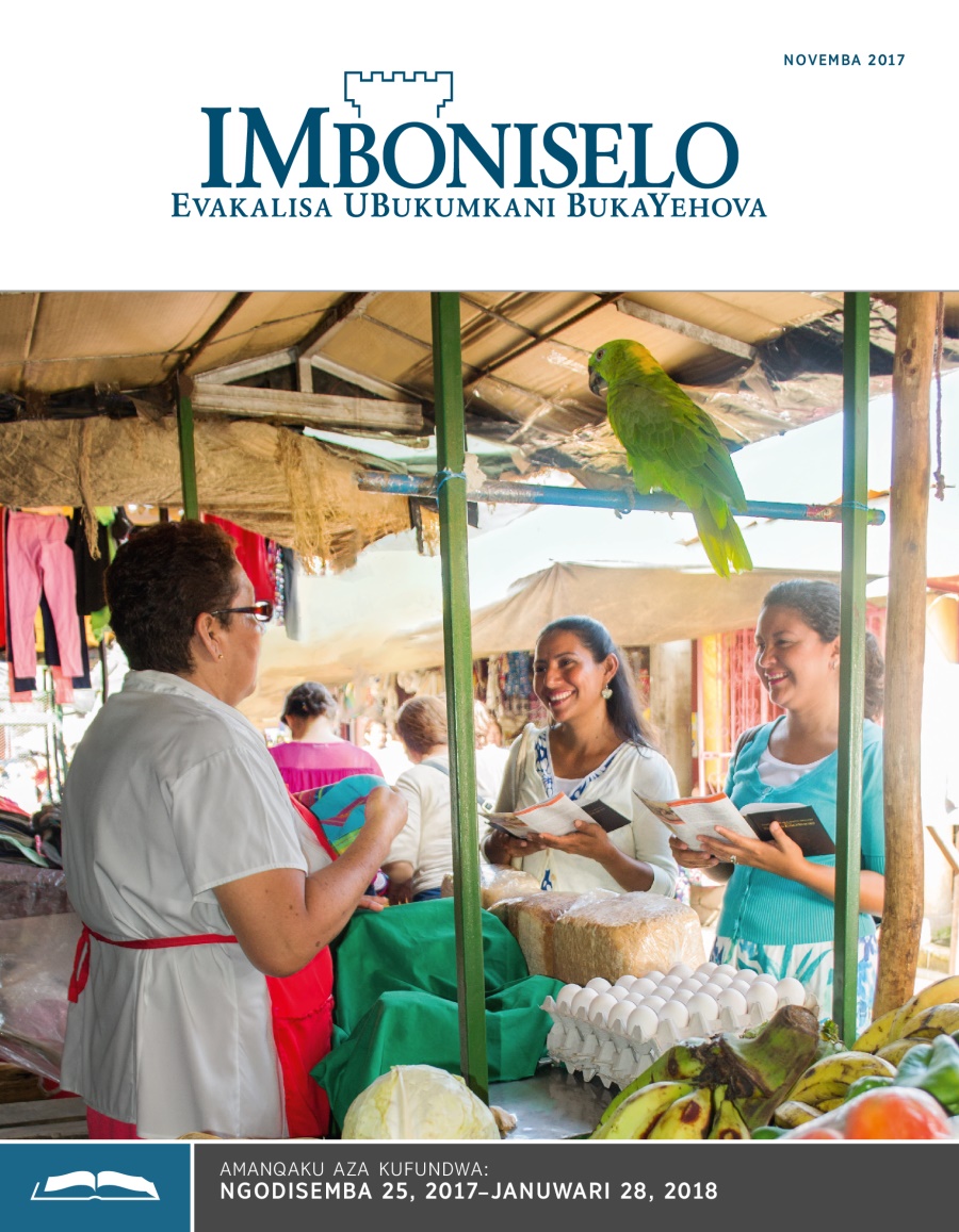 IMboniselo Yohlelo Olufundwayo, Novemba 2017