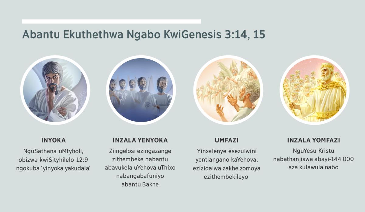 Imifanekiso: “Abantu ekuthethwa ngabo kwiGenesis 3:14, 15.” 1. Inyoka: NguSathana osisidalwa somoya. 2. Inzala yenyoka: ziingelosi ezingazange zimthobele uThixo. 3. Umfazi: Ziingelosi ezithembekileyo. 4. Inzala yomfazi: NguYesu Kristu nabathanjiswa aza kulawula nabo besezulwini. Aba bantu kuthethwa ngabo nakwisiqendu 4, 5, 7 no-8.