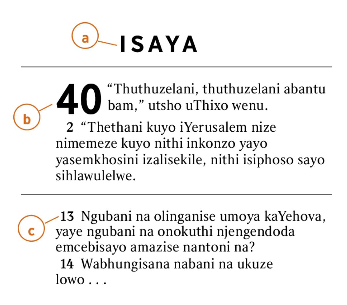 Isicatshulwa seBhayibhile sibalaselisiwe ukuze kuboniswe indlela yokuqonda a) incwadi yeBhayibhile, b) isahluko, kunye c) nevesi