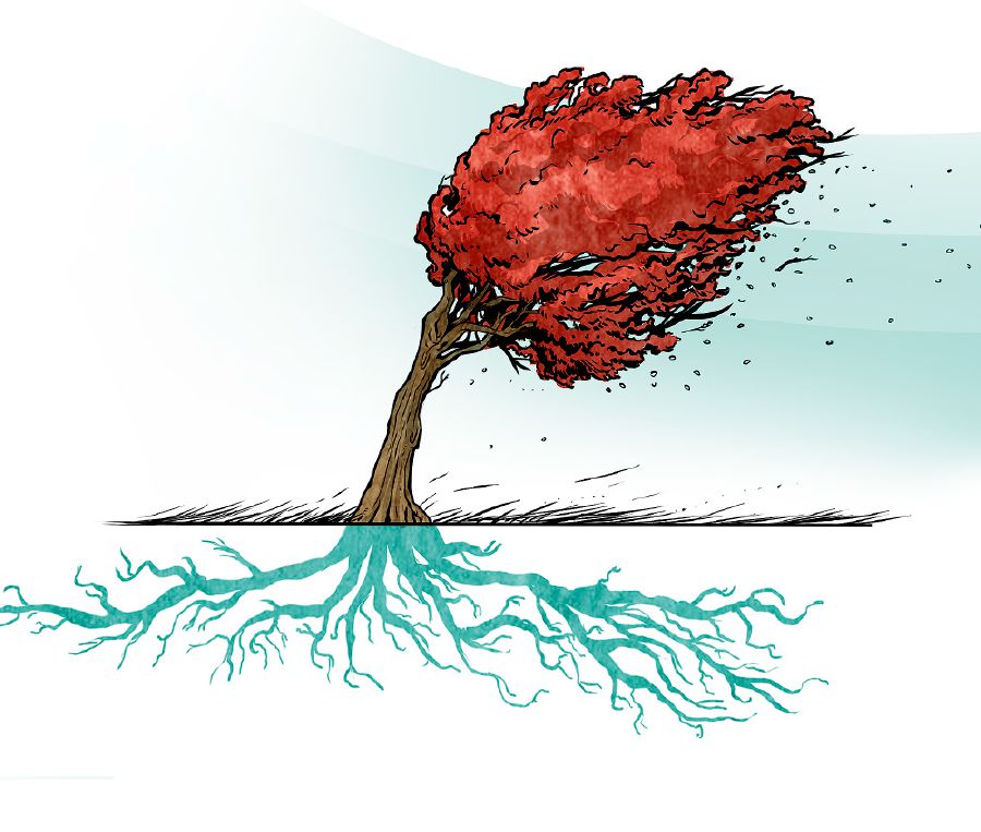 Umthi oneengcambu ezomeleleyo awuwiswa lula ngumoya omkhulu