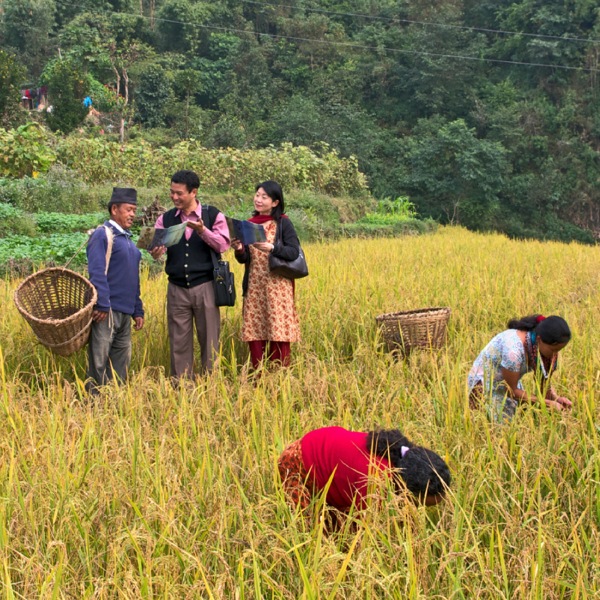 Saksi-Saksi Yehuwa melakukan kerja menginjil