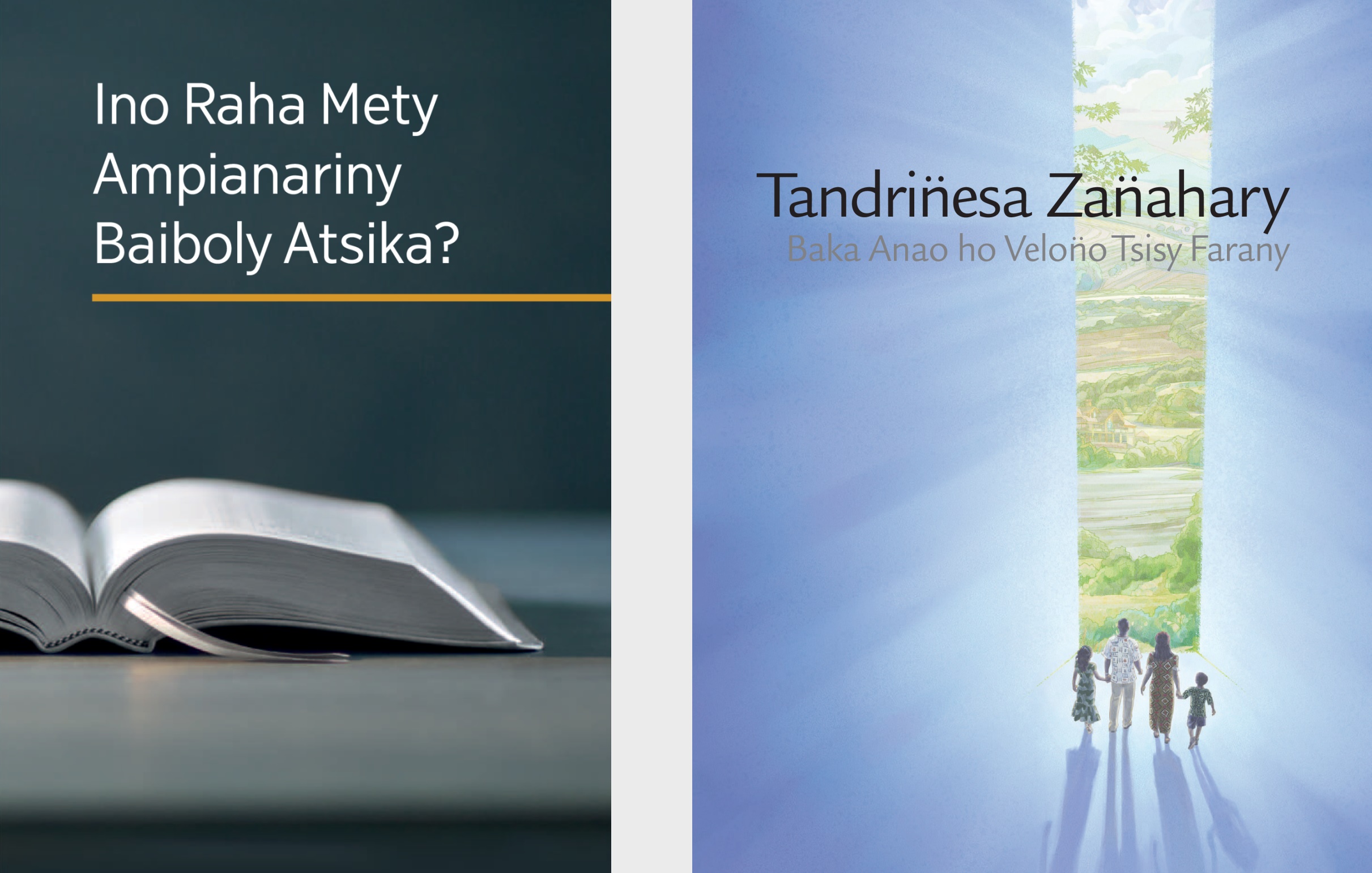 Boky ‘Ino Raha Mety Ampianariny Baiboly Atsika?’ ndreky bokikely ‘Tandrin̈esa Zan̈ahary Baka Anao ho Velon̈o Tsisy Farany.’