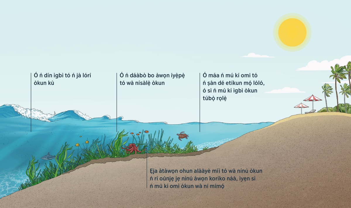 Àwòrán bí ìgbì òkun ṣe ń ru lọ sétíkun. Àwòrán ìsàlẹ̀ òkun, koríko inú òkun àtàwọn ohun tó ń gbénú òkun. Koríko inú òkun ń mú kí ìgbì náà rọlẹ̀ bó ṣe ń sún mọ́ etíkun, ó sì ń sẹ́ iyẹ̀pẹ̀ kúrò nínú omi náà. Ẹja àtàwọn ohun mí ì tó ń gbénú òkun ń gbádùn ara wọn nítòsí àwọn koríko náà. Omi tó ń dé etíkun ti mọ́ lóló, ìgbì tó ń ru bọ̀ sì ti rọlẹ̀.