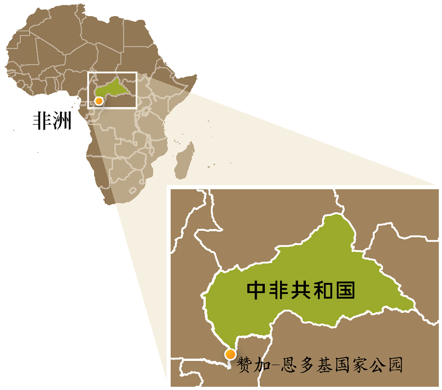中非共合国的地图