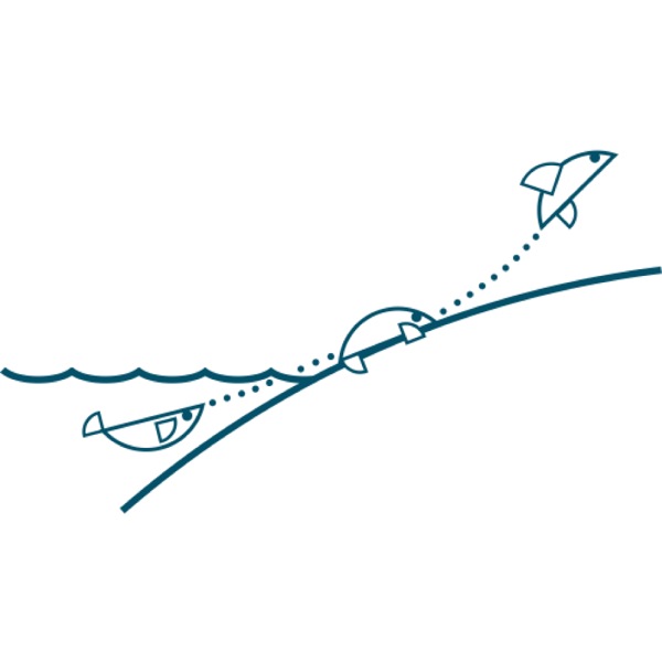 描述进化过程的想象图