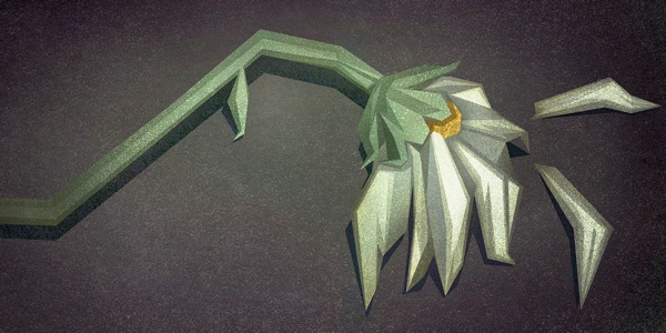 一朵凋谢了的花