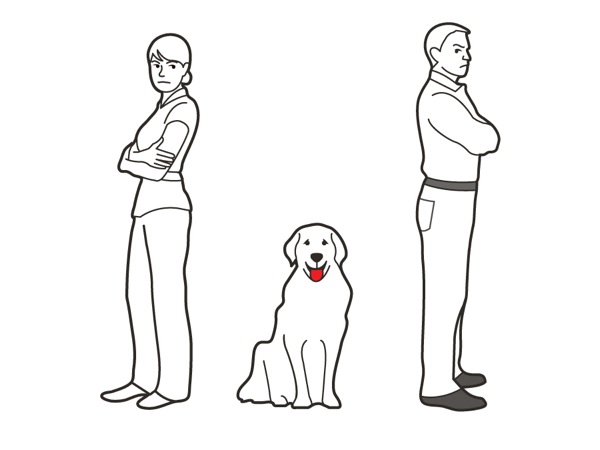 一只狗蹲在一对准备离婚的夫妇中间