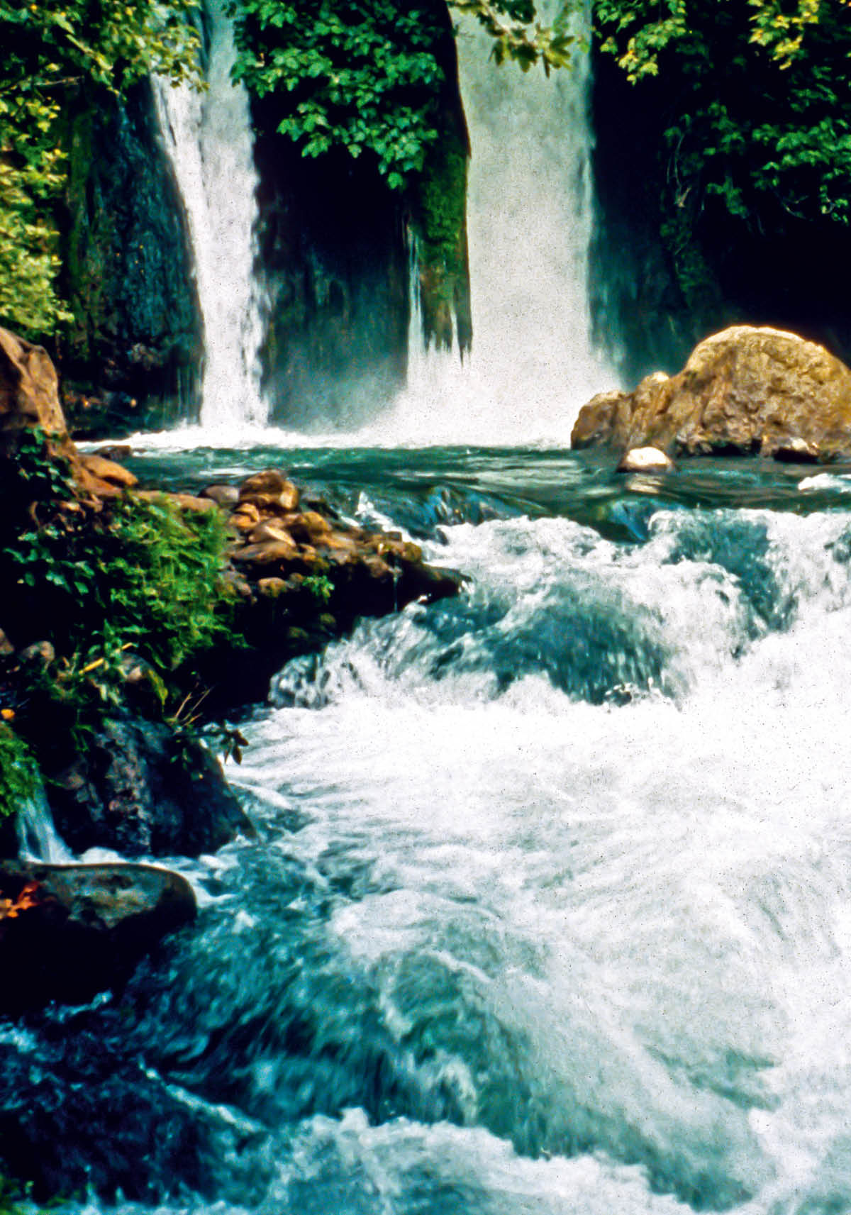 ［第332页的图片］