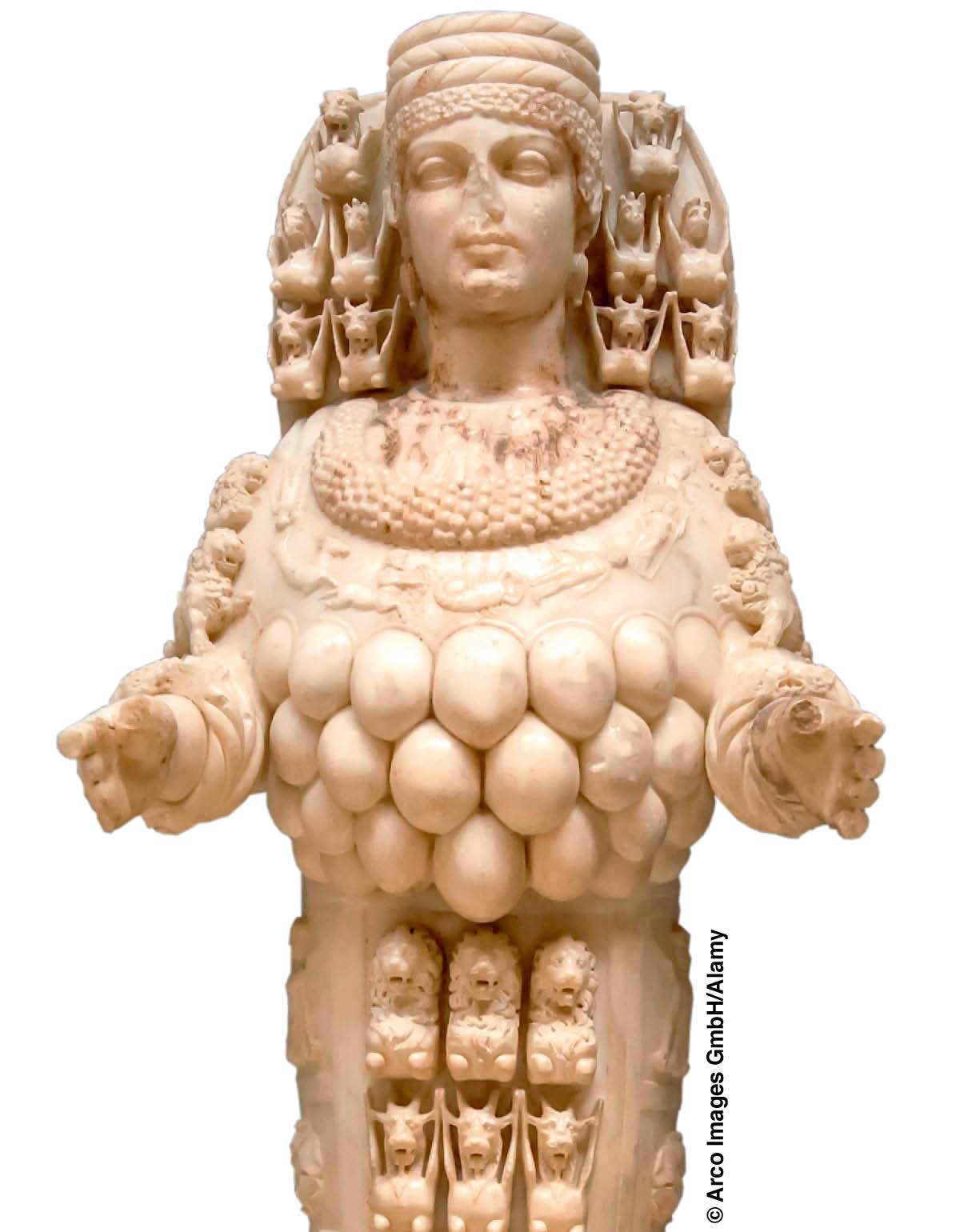 ［第10页的图片］