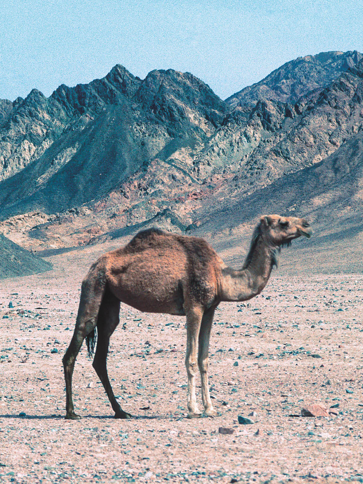 ［第1016页的图片］