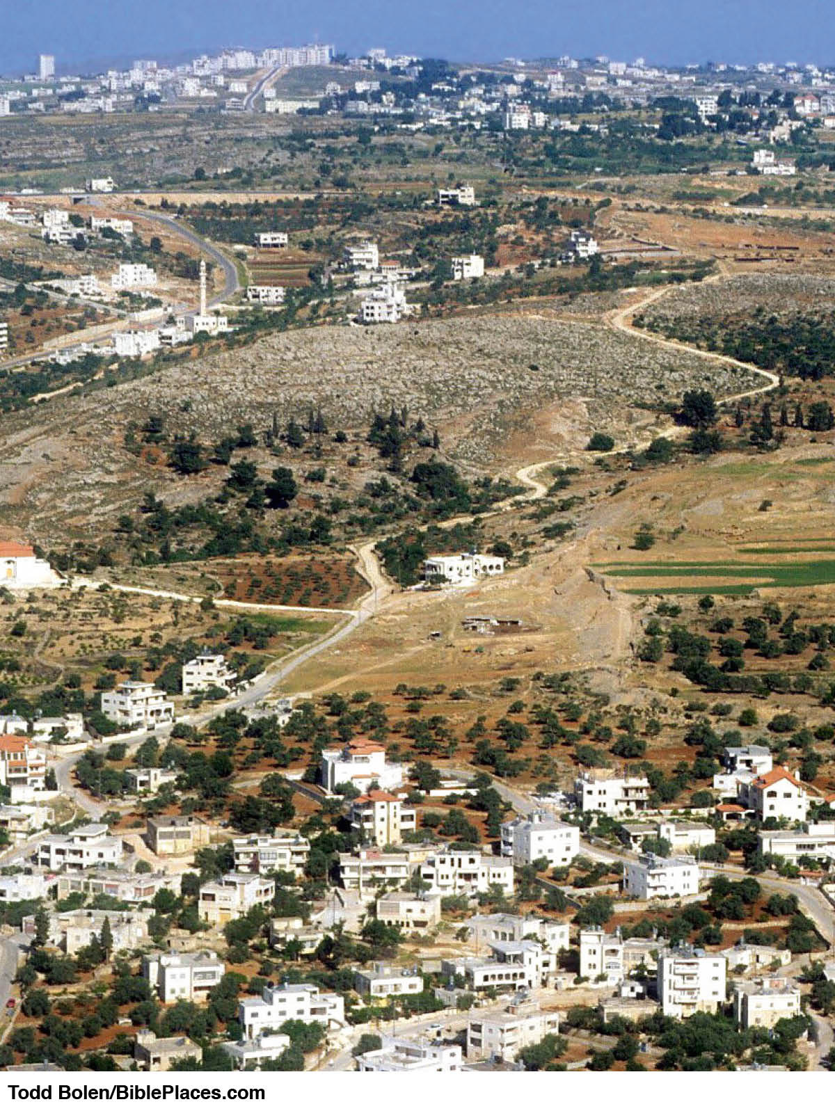 ［第530页的图片］