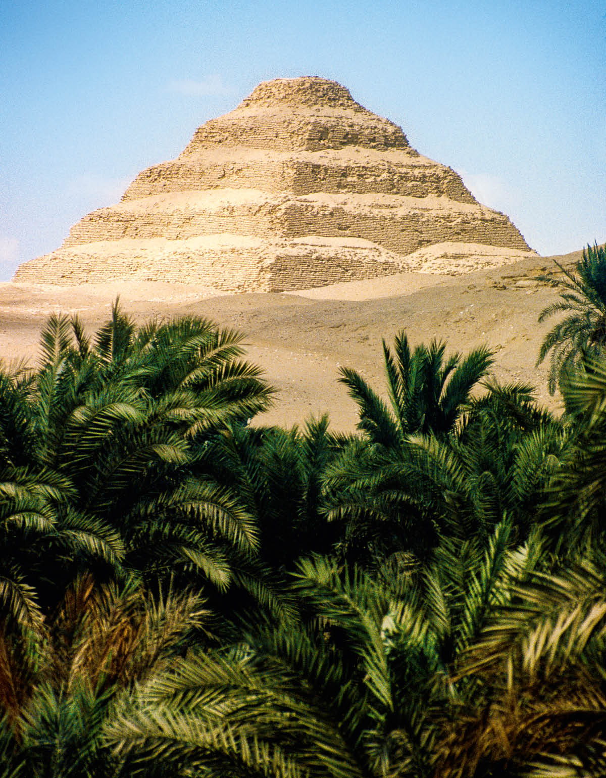 ［第530页的图片］