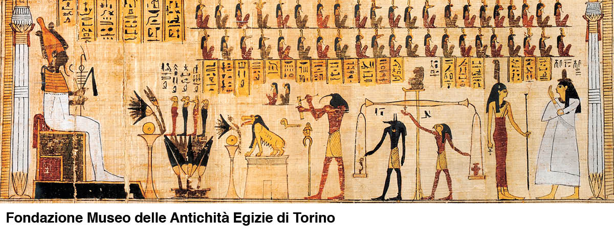 ［第533页的图片］