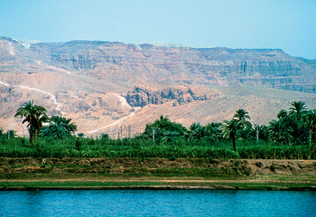 ［第534页的图片］