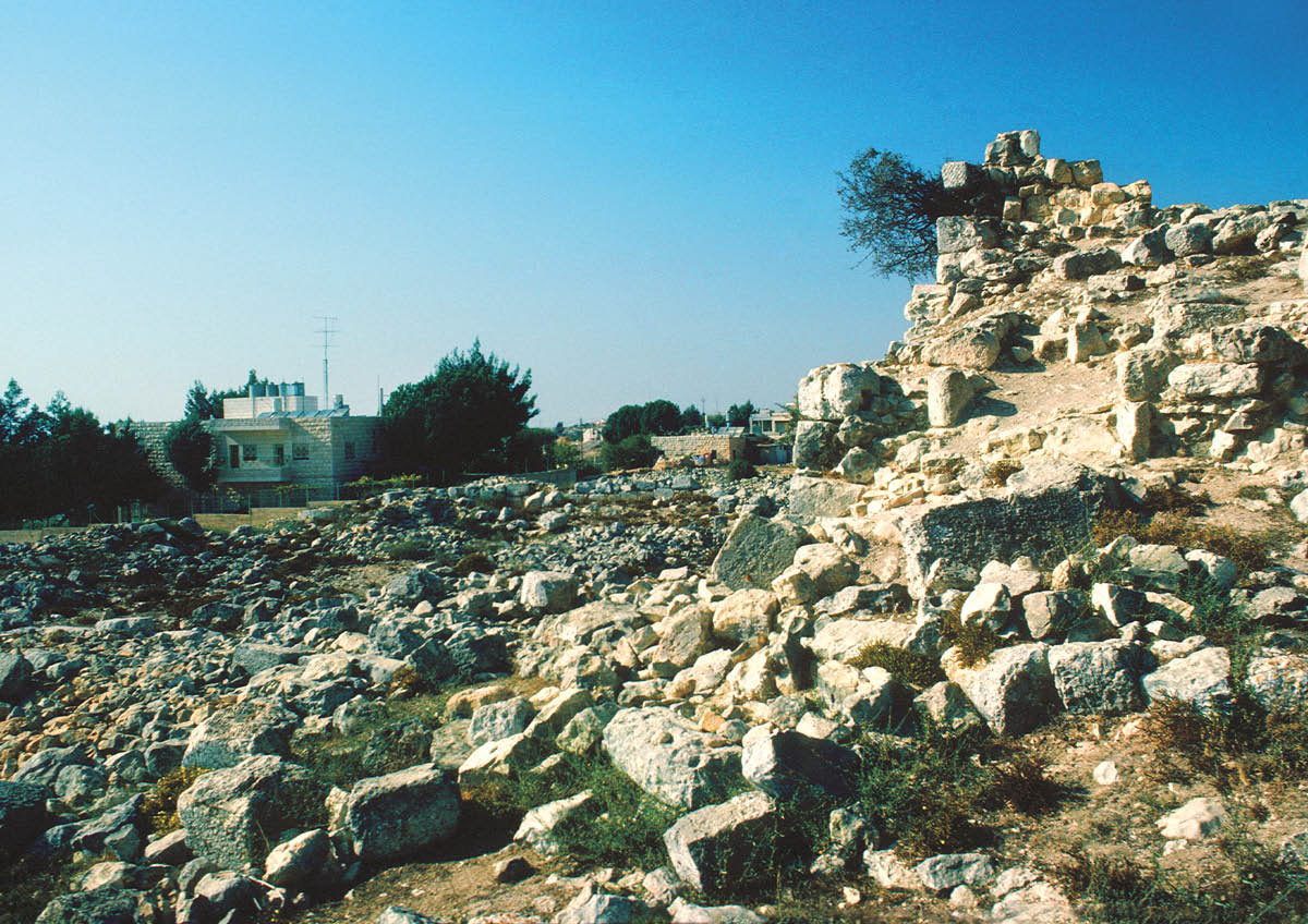 ［第182页的图片］