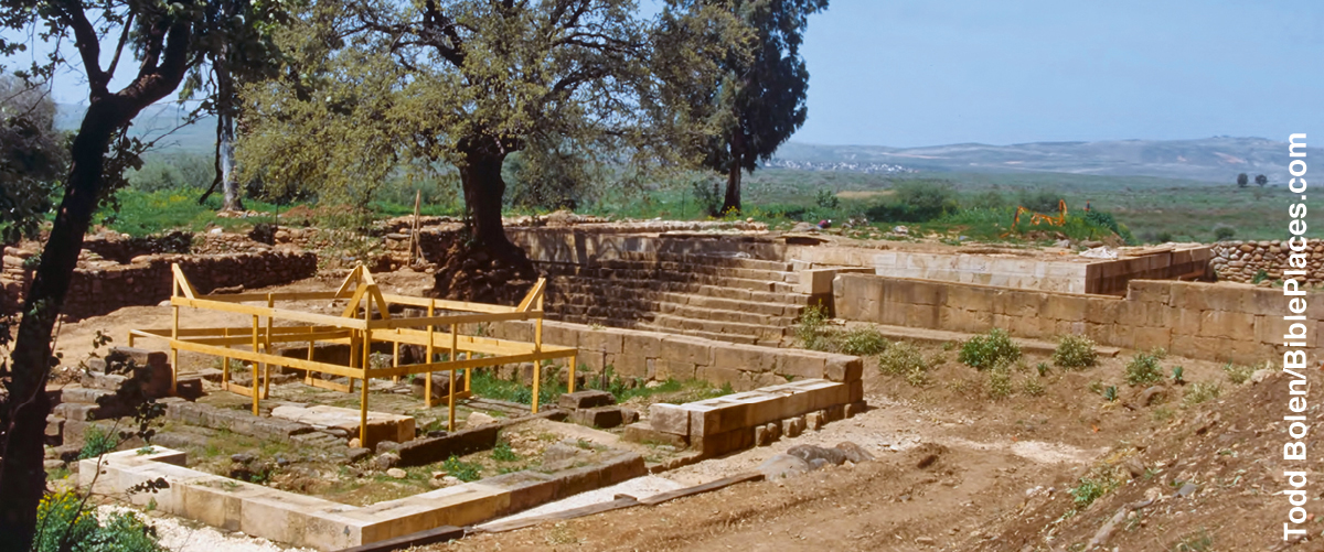 ［第319页的图片］