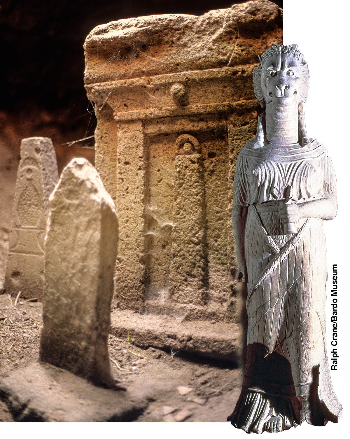 ［第739页的图片］