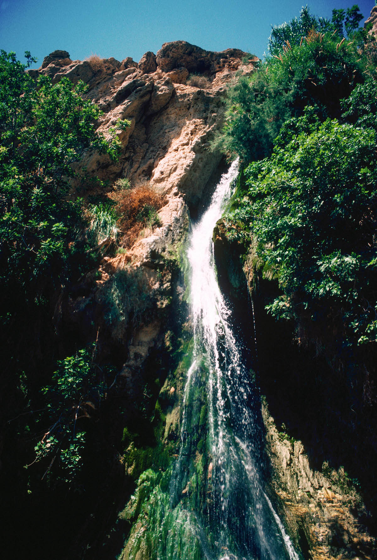 ［第741页的图片］