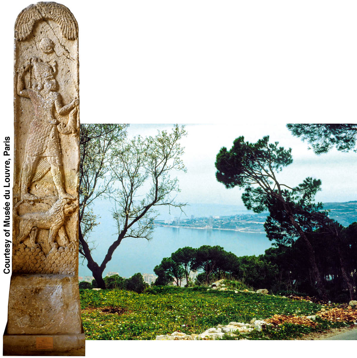 ［第946页的图片］