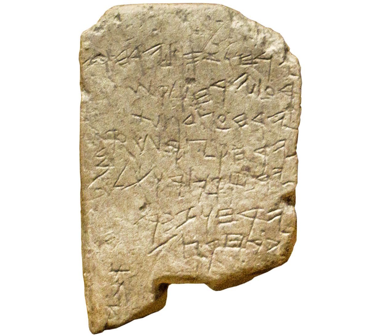 ［第960页的图片］