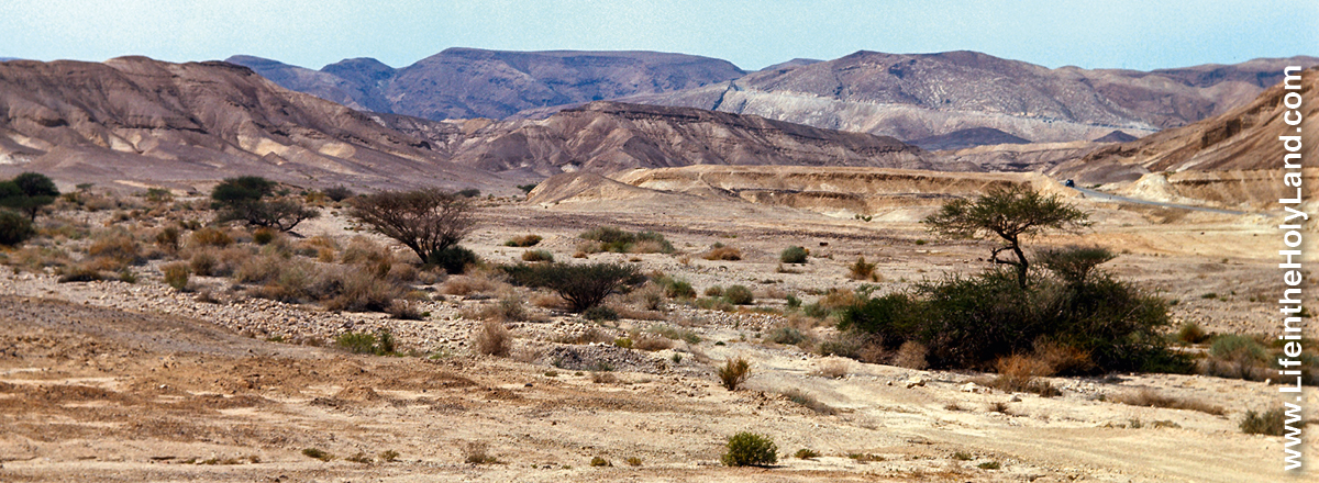 ［第1167页的图片］