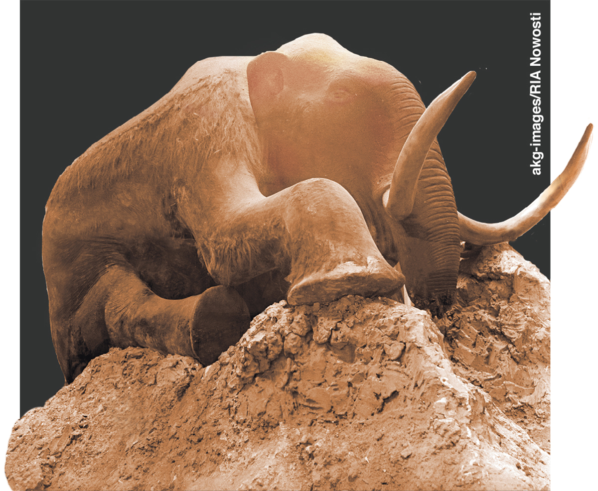 ［第328页的图片］