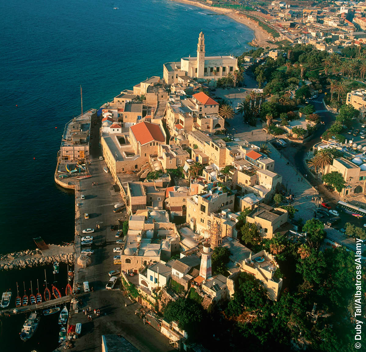 ［第1074页的图片］