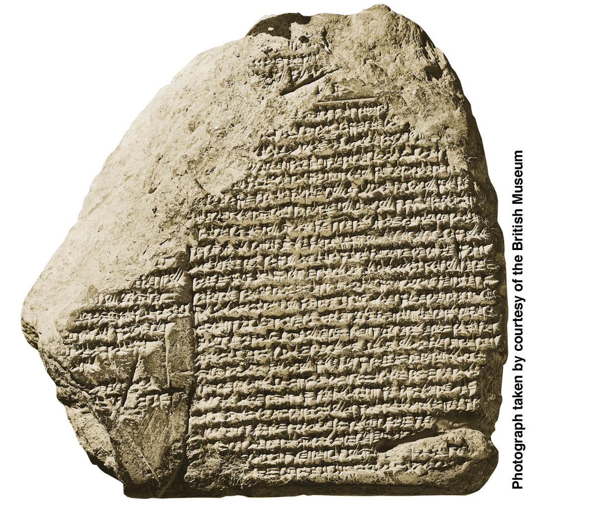 ［第325页的图片］