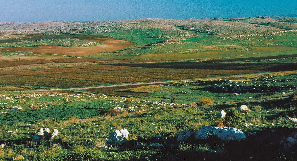 ［第759页的图片］