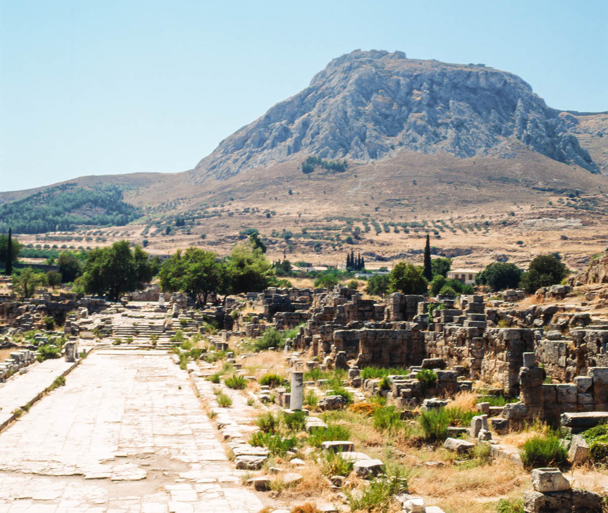 ［第336页的图片］