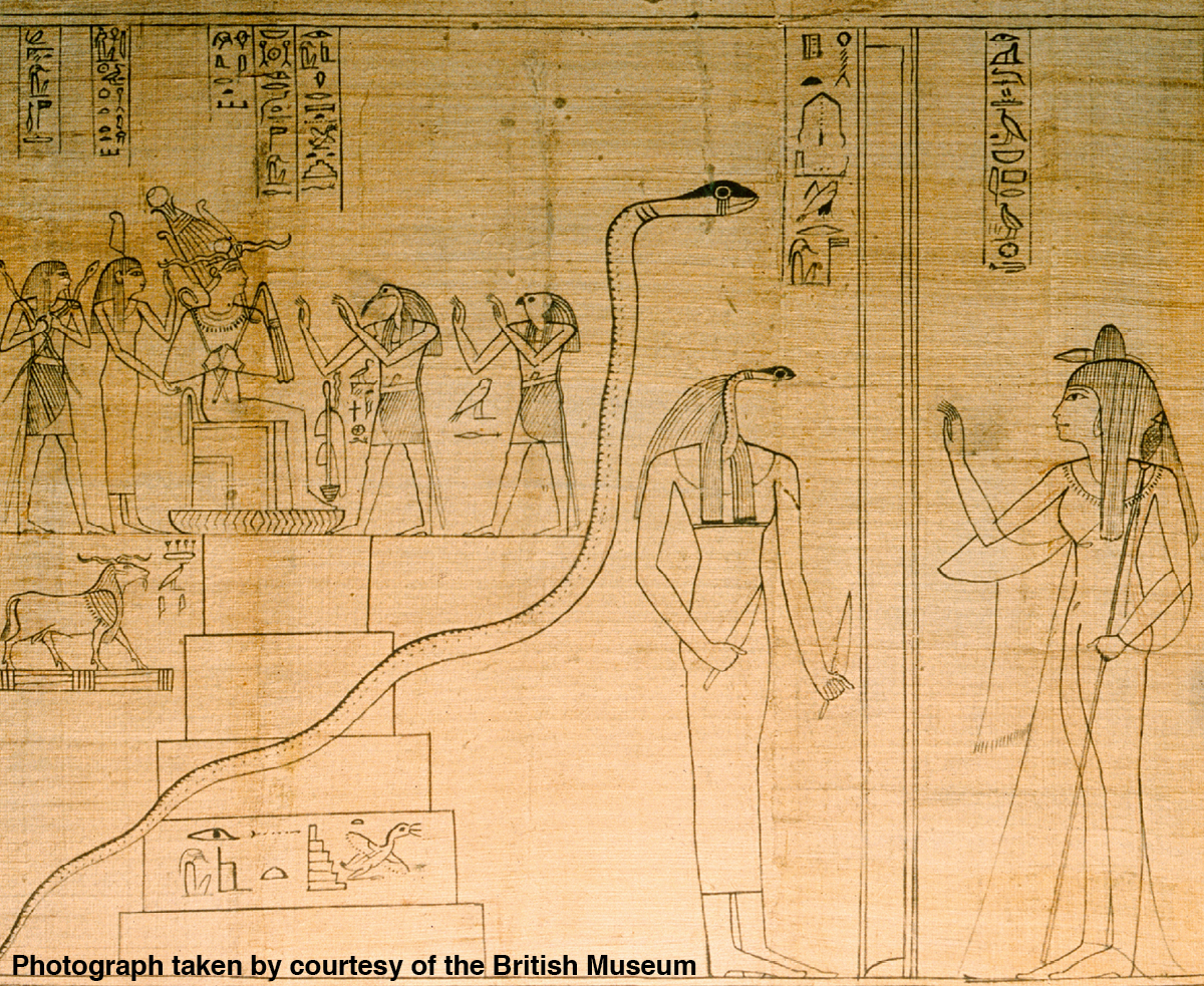 ［第530页的图片］