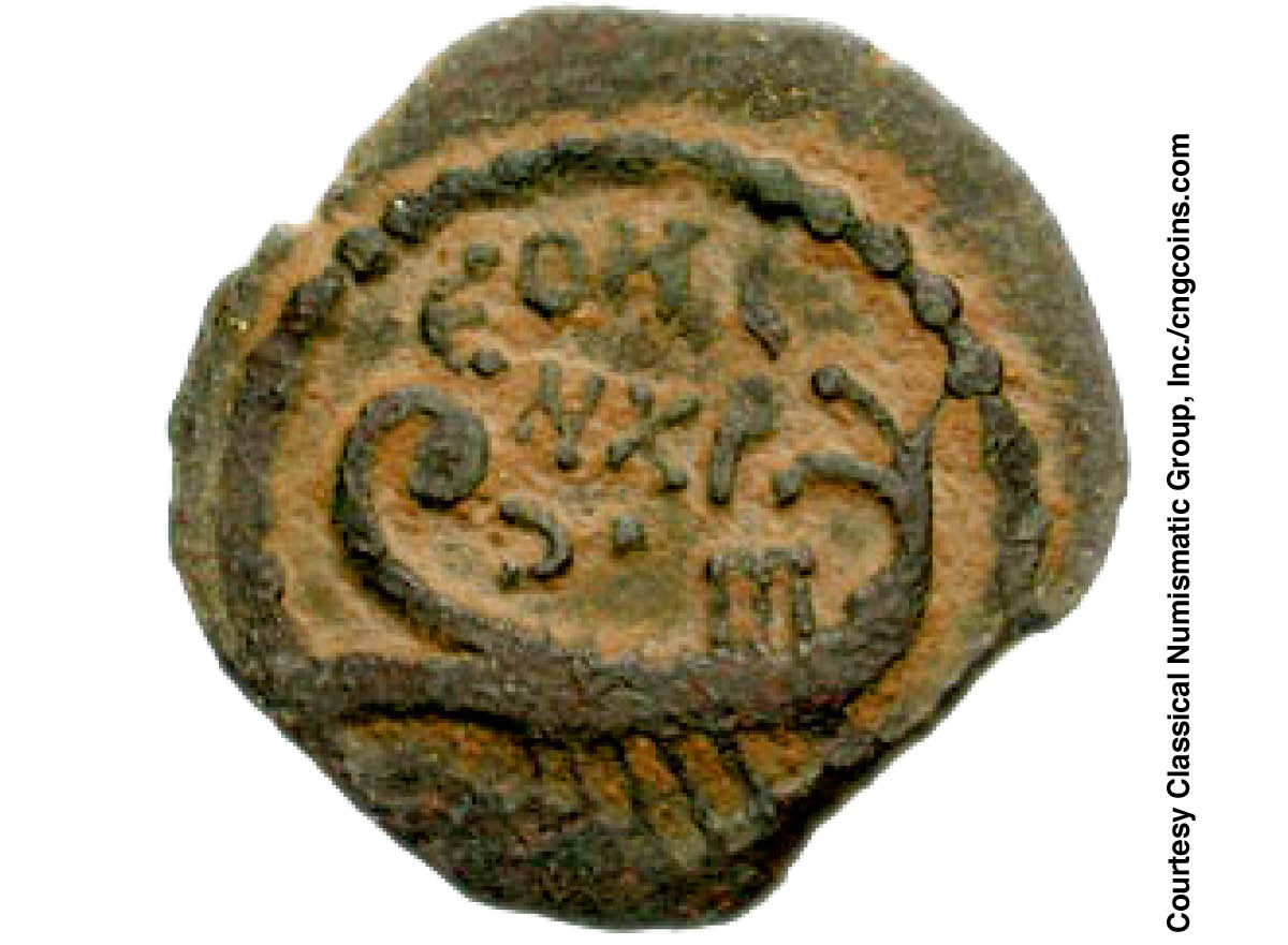 ［第538页的图片］