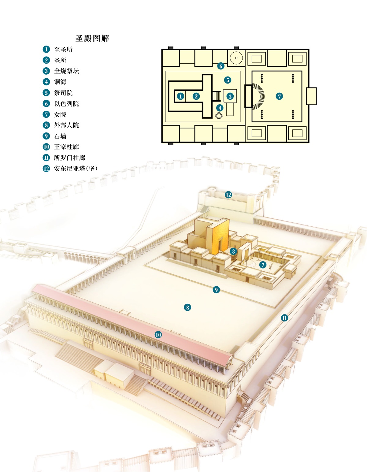 ［第543页的图解］