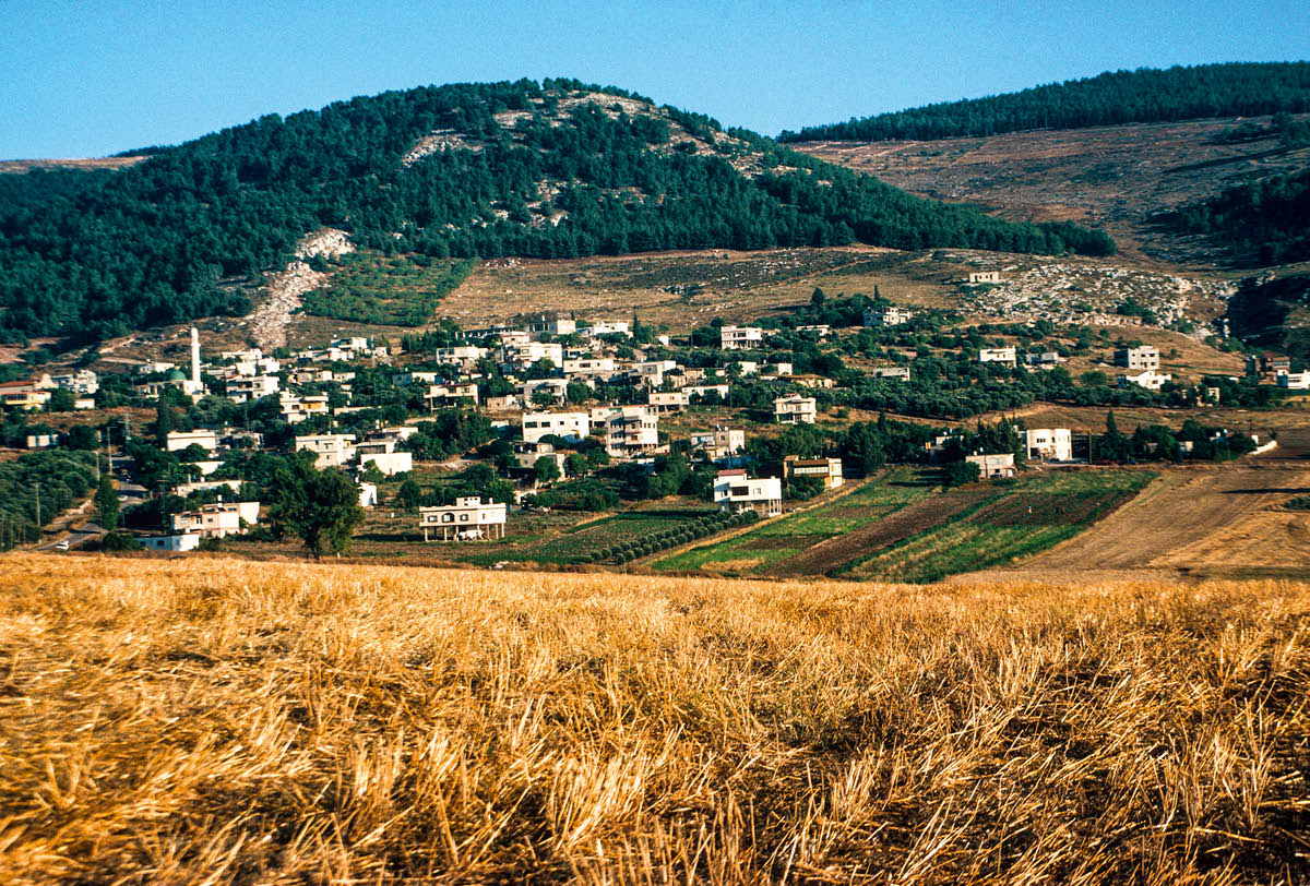 ［第738页的图片］