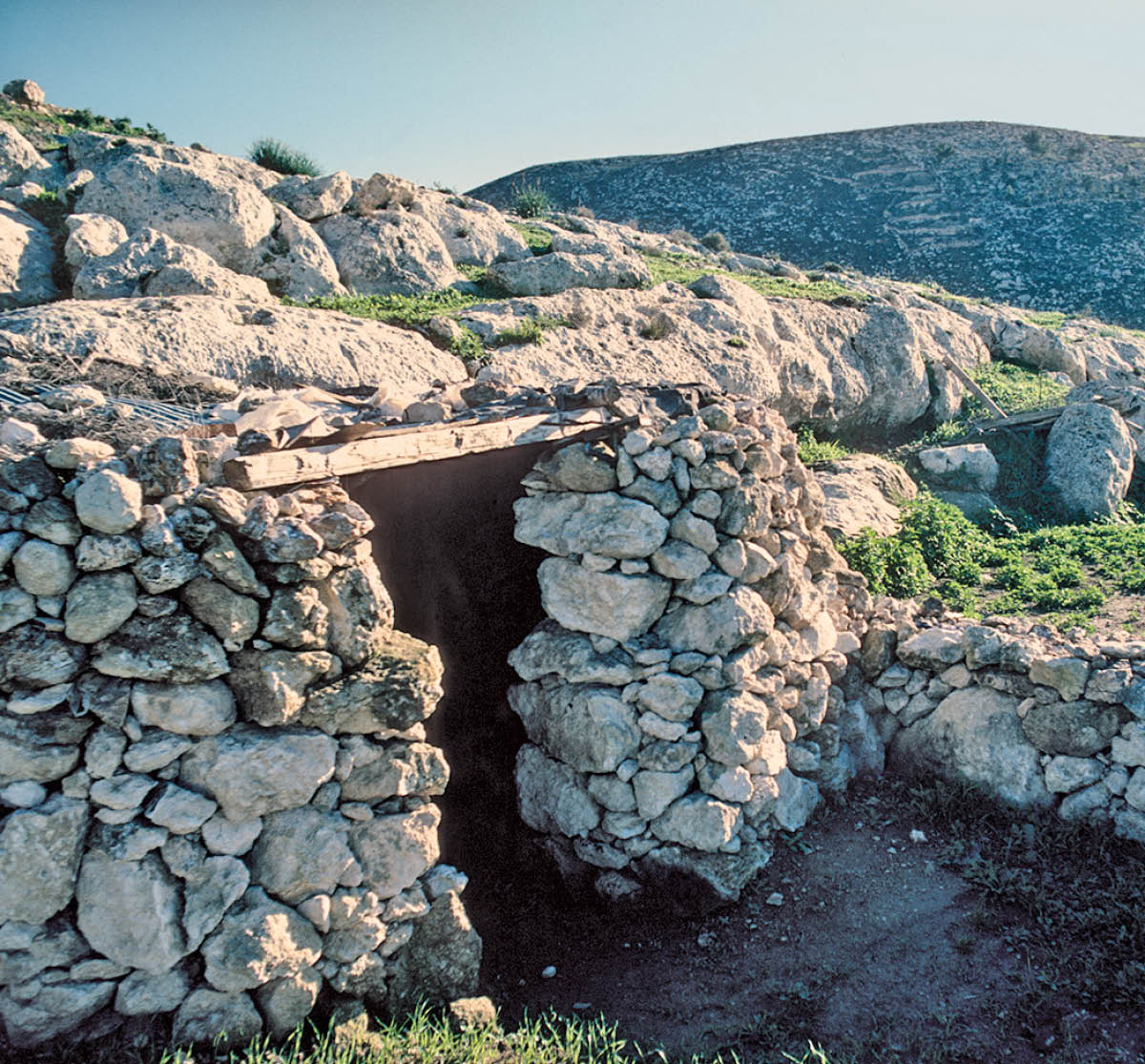 ［第768页的图片］