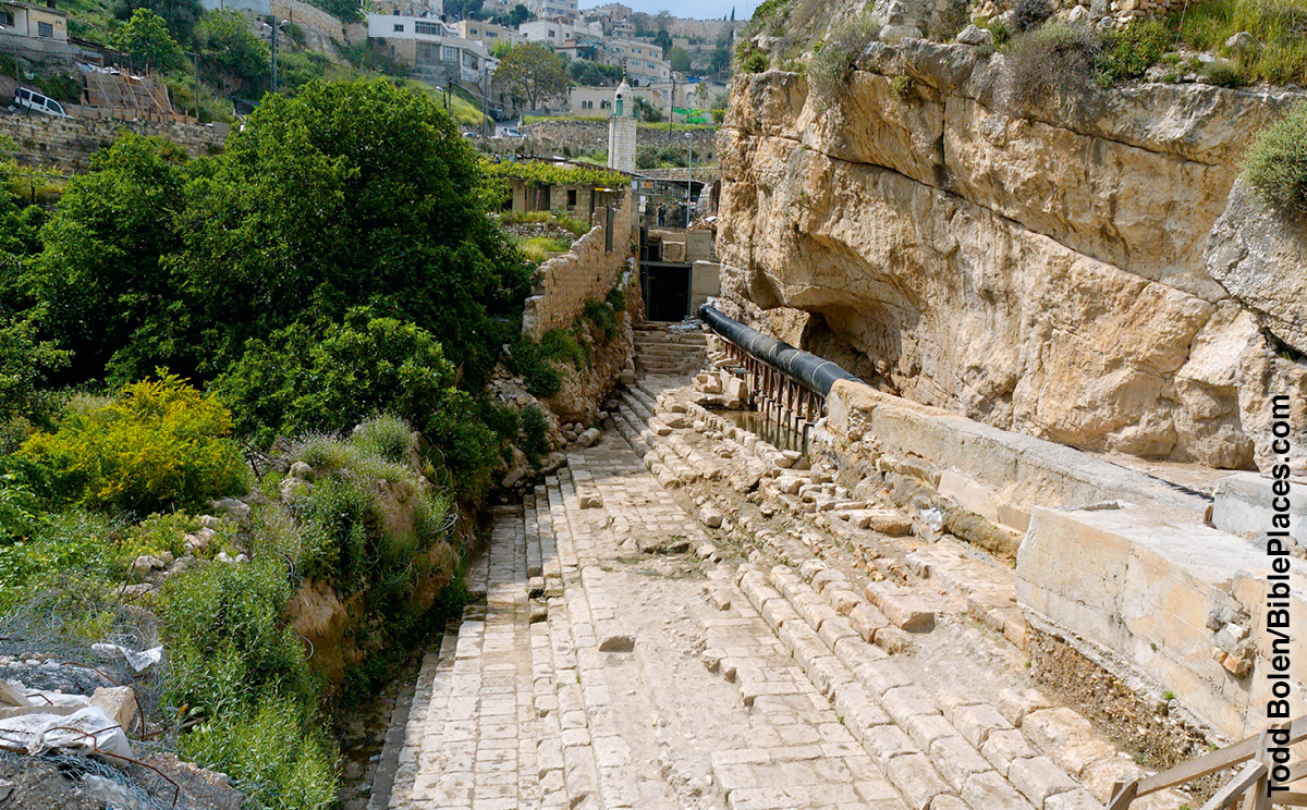［第950页的图片］