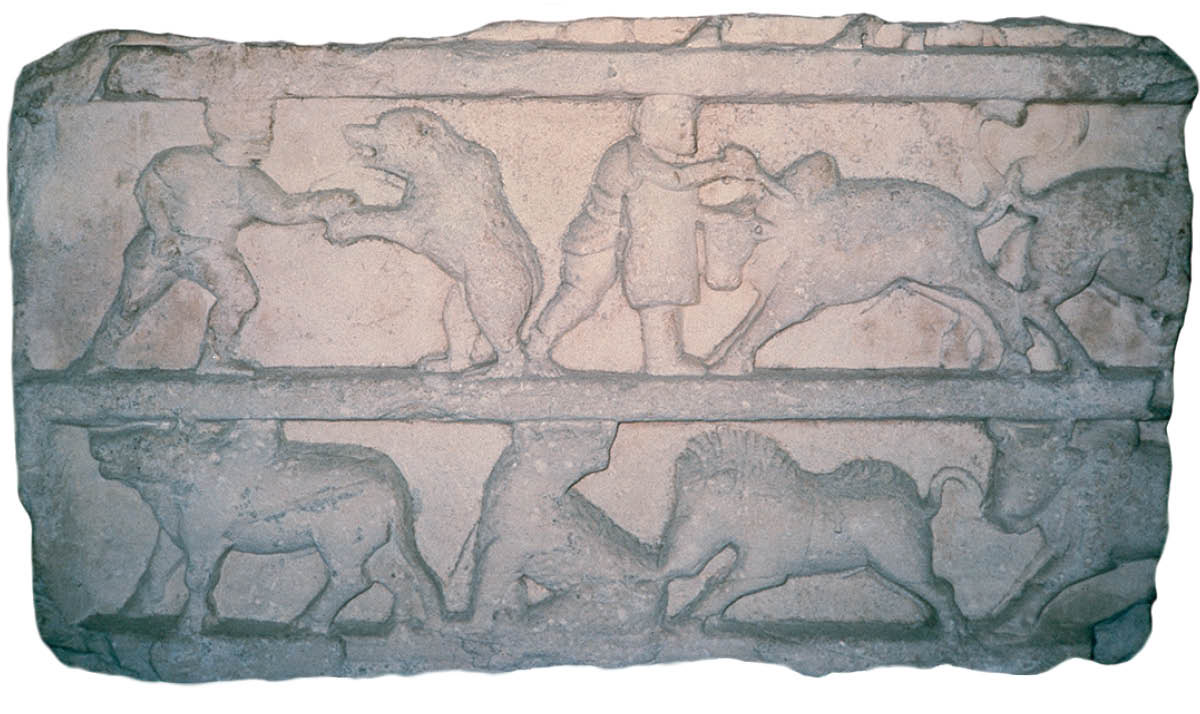 ［第883页的图片］