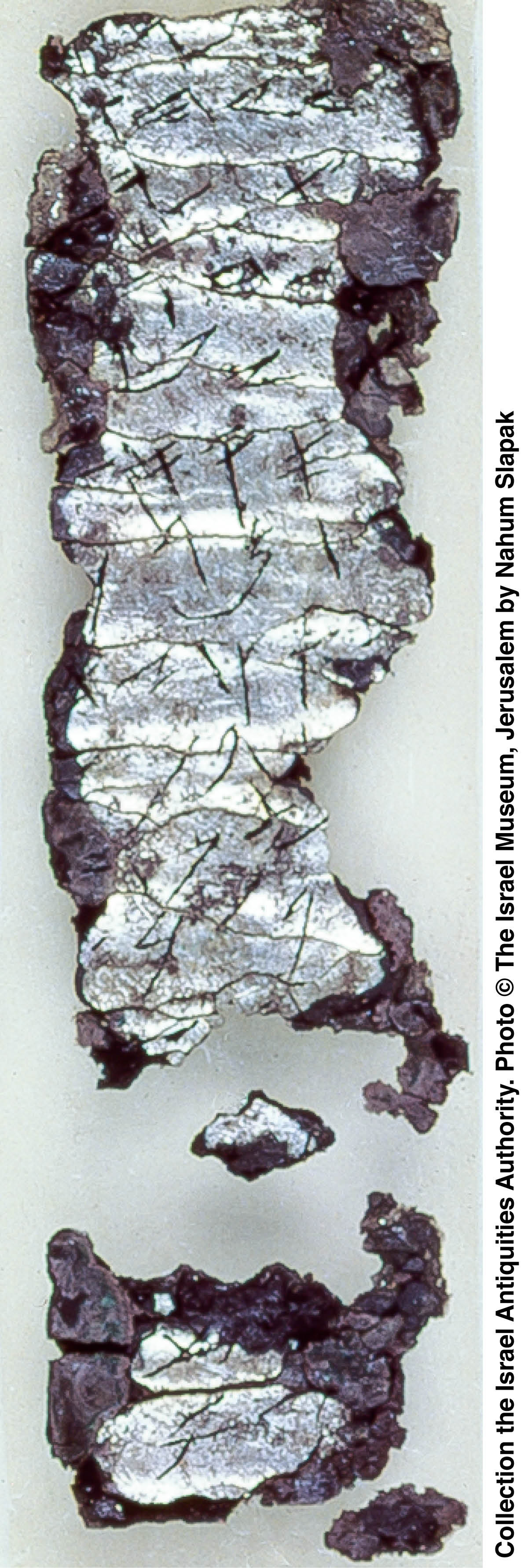 ［第781页的图片］