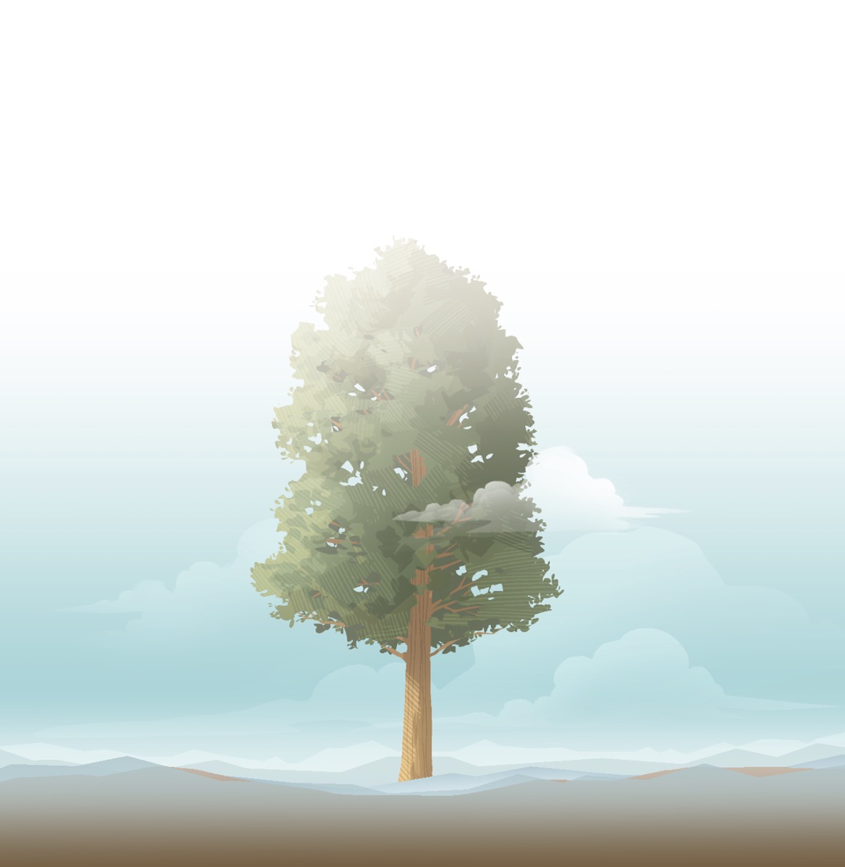 一棵参天大树。