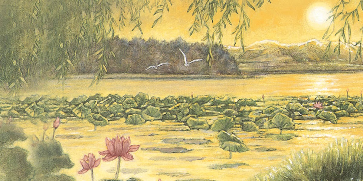 阳光映照喺池塘中嘅荷叶上