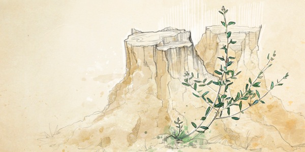 一棵树被砍下，还再萌芽