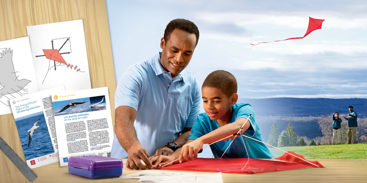 父子俩读完《警醒！》杂志“有设计者吗？”这个专栏后，一起做了一个风筝